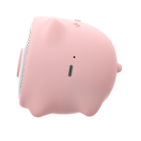 WSPIG - 3W Wireless Speaker Summer
