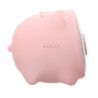 WSPIG - 3W Wireless Speaker Summer